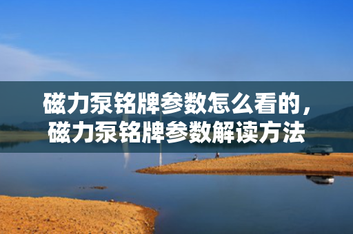 磁力泵铭牌参数怎么看的，磁力泵铭牌参数解读方法