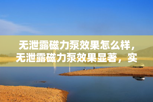 无泄露磁力泵效果怎么样，无泄露磁力泵效果显著，实现高效无泄漏传输
