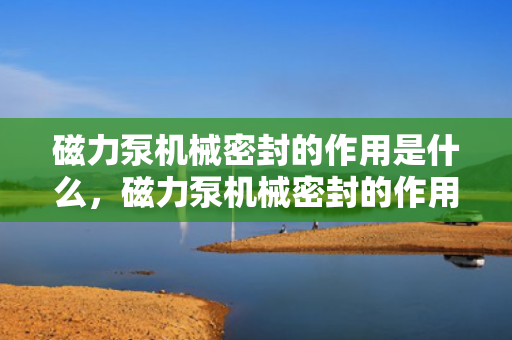 磁力泵机械密封的作用是什么，磁力泵机械密封的作用：确保泵体无泄漏运行的关键部件