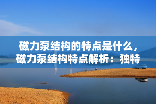 磁力泵结构的特点是什么，磁力泵结构特点解析：独特设计带来的高效与可靠性