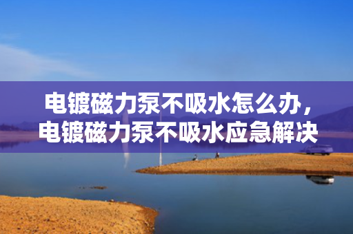 电镀磁力泵不吸水怎么办，电镀磁力泵不吸水应急解决方案