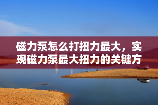 磁力泵怎么打扭力最大，实现磁力泵最大扭力的关键方法与技巧
