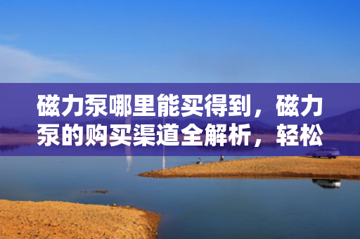 磁力泵哪里能买得到，磁力泵的购买渠道全解析，轻松找到您的理想选择！