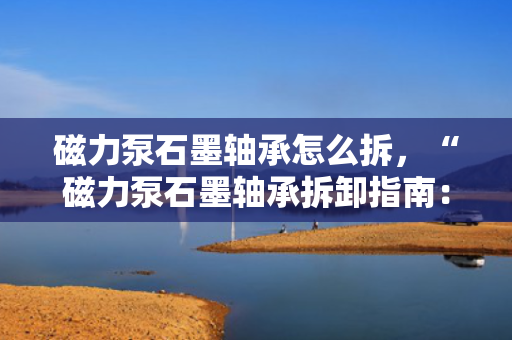磁力泵石墨轴承怎么拆，“磁力泵石墨轴承拆卸指南：步骤与注意事项”