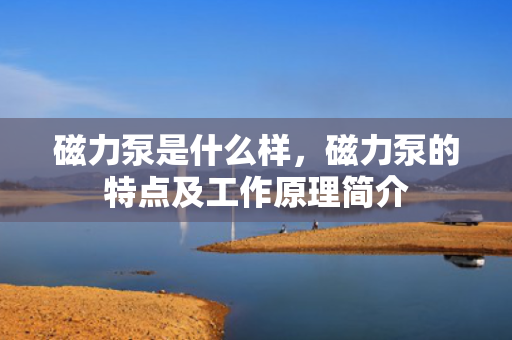 磁力泵是什么样，磁力泵的特点及工作原理简介