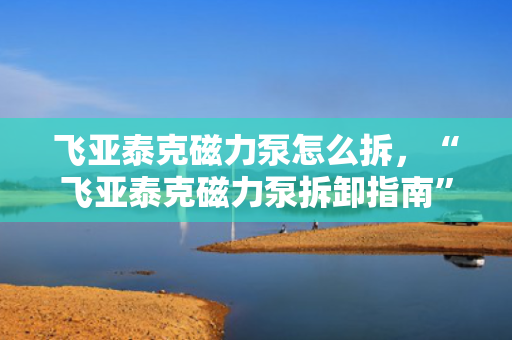 飞亚泰克磁力泵怎么拆，“飞亚泰克磁力泵拆卸指南”