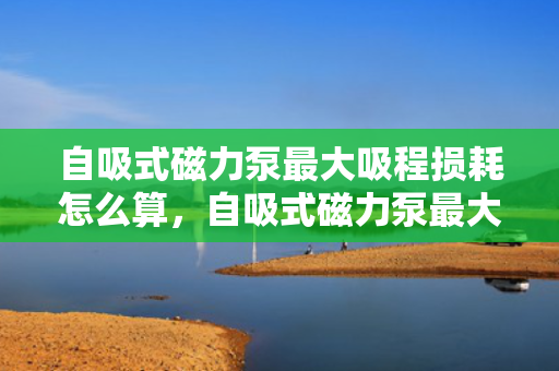 自吸式磁力泵最大吸程损耗怎么算，自吸式磁力泵最大吸程损耗的计算方法探讨