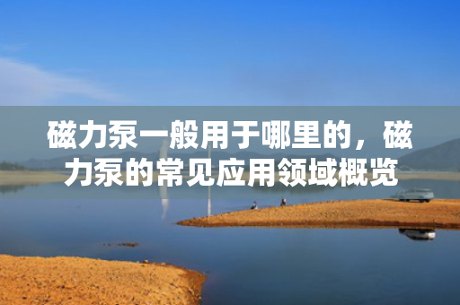 磁力泵一般用于哪里的，磁力泵的常见应用领域概览