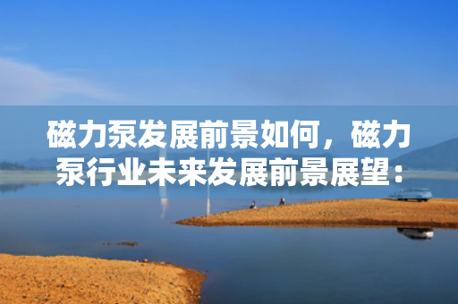 磁力泵发展前景如何，磁力泵行业未来发展前景展望：市场潜力与技术创新并行