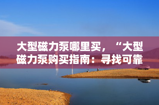 大型磁力泵哪里买，“大型磁力泵购买指南：寻找可靠供应商的关键步骤”