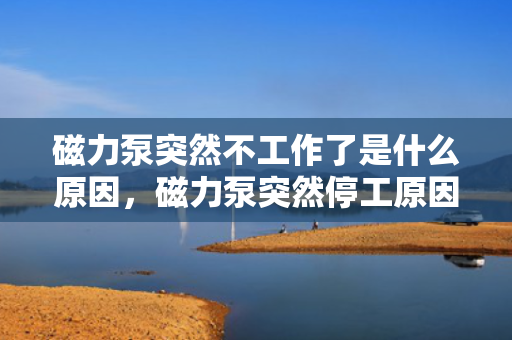 磁力泵突然不工作了是什么原因，磁力泵突然停工原因解析：故障排查与解决方案
