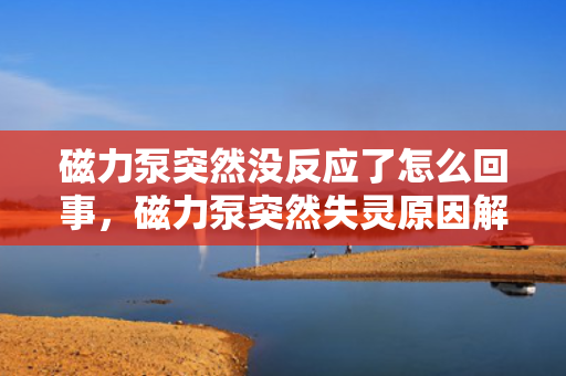 磁力泵突然没反应了怎么回事，磁力泵突然失灵原因解析：故障排查与解决方案