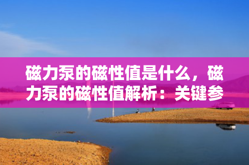 磁力泵的磁性值是什么，磁力泵的磁性值解析：关键参数与性能特征一探究竟