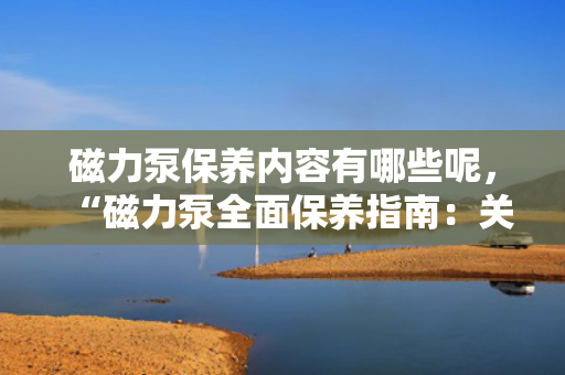 磁力泵保养内容有哪些呢，“磁力泵全面保养指南：关键步骤与要点解析”