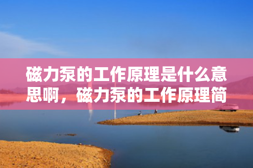 磁力泵的工作原理是什么意思啊，磁力泵的工作原理简介