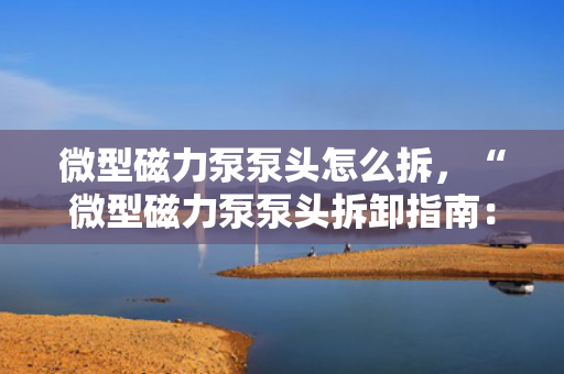 微型磁力泵泵头怎么拆，“微型磁力泵泵头拆卸指南：简单易懂的步骤教程”