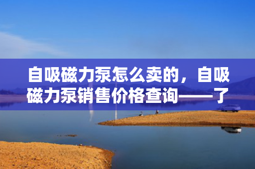 自吸磁力泵怎么卖的，自吸磁力泵销售价格查询——了解自吸磁力泵的市场行情与价格因素