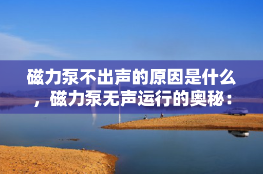 磁力泵不出声的原因是什么，磁力泵无声运行的奥秘：解析其静默工作的原因