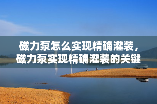 磁力泵怎么实现精确灌装，磁力泵实现精确灌装的关键技术与方法