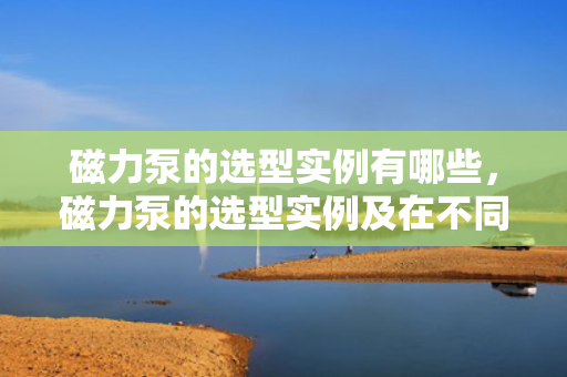磁力泵的选型实例有哪些，磁力泵的选型实例及在不同应用场景中的选择策略