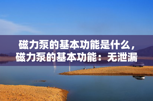 磁力泵的基本功能是什么，磁力泵的基本功能：无泄漏传输液体