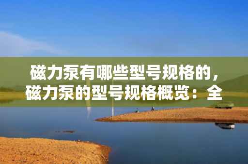 磁力泵有哪些型号规格的，磁力泵的型号规格概览：全面解析各类磁力泵型号