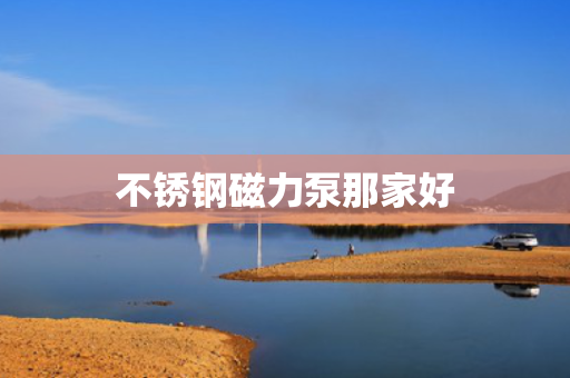 不锈钢磁力泵那家好