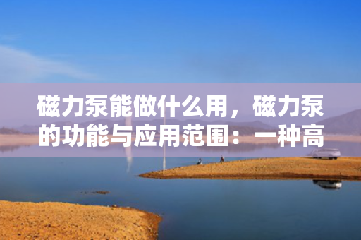 磁力泵能做什么用，磁力泵的功能与应用范围：一种高效、安全的无泄漏输送设备