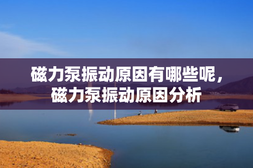 磁力泵振动原因有哪些呢，磁力泵振动原因分析