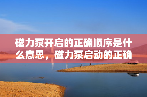 磁力泵开启的正确顺序是什么意思，磁力泵启动的正确顺序详解
