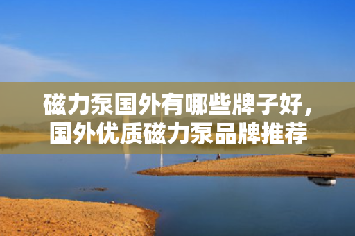 磁力泵国外有哪些牌子好，国外优质磁力泵品牌推荐