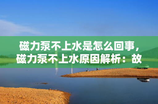 磁力泵不上水是怎么回事，磁力泵不上水原因解析：故障排查与解决方案