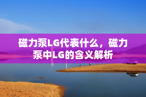 磁力泵LG代表什么，磁力泵中LG的含义解析
