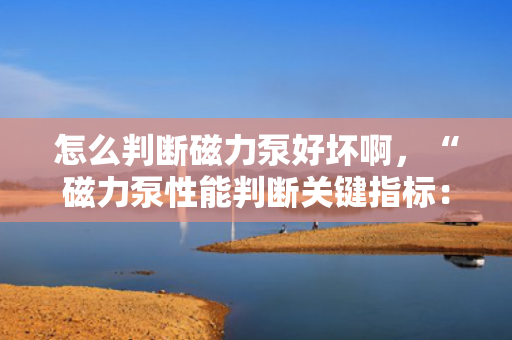 怎么判断磁力泵好坏啊，“磁力泵性能判断关键指标：一步了解如何评估磁力泵的好坏”