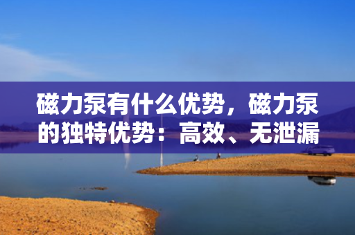 磁力泵有什么优势，磁力泵的独特优势：高效、无泄漏、安全可靠的流体传输解决方案