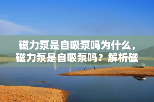 磁力泵是自吸泵吗为什么，磁力泵是自吸泵吗？解析磁力泵与自吸泵的区别与联系