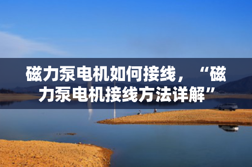 磁力泵电机如何接线，“磁力泵电机接线方法详解”