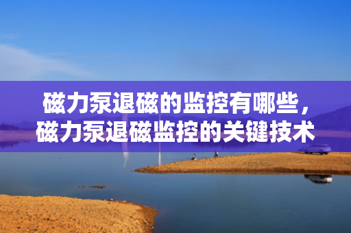 磁力泵退磁的监控有哪些，磁力泵退磁监控的关键技术与实践应用