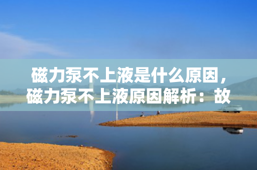 磁力泵不上液是什么原因，磁力泵不上液原因解析：故障排查与解决方案