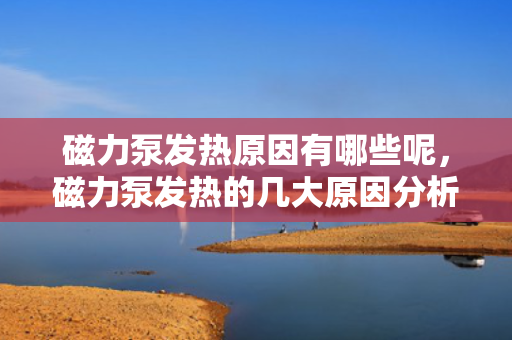磁力泵发热原因有哪些呢，磁力泵发热的几大原因分析