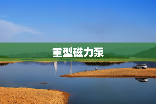 重型磁力泵