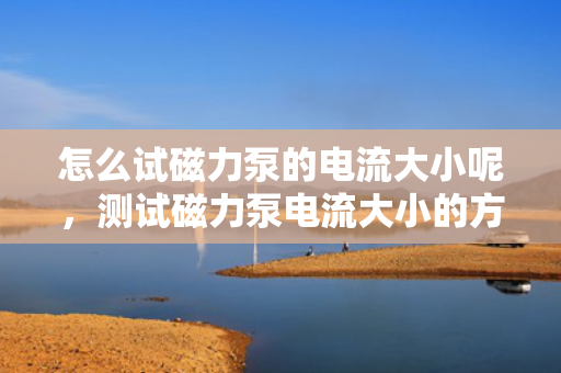 怎么试磁力泵的电流大小呢，测试磁力泵电流大小的方法