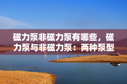 磁力泵非磁力泵有哪些，磁力泵与非磁力泵：两种泵型的特性与差异解析