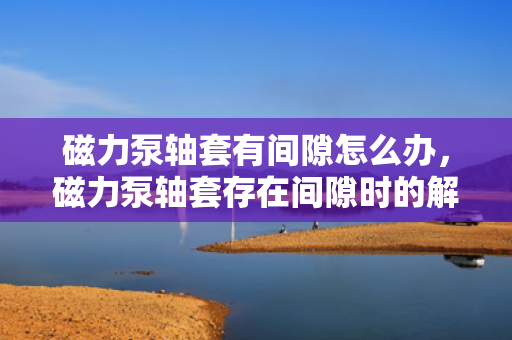 磁力泵轴套有间隙怎么办，磁力泵轴套存在间隙时的解决方案