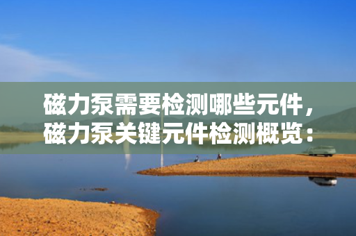 磁力泵需要检测哪些元件，磁力泵关键元件检测概览：确保性能与安全的必备步骤