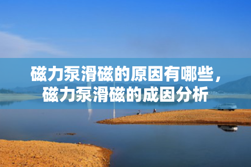 磁力泵滑磁的原因有哪些，磁力泵滑磁的成因分析