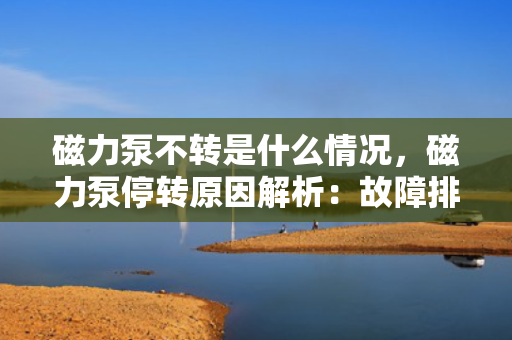 磁力泵不转是什么情况，磁力泵停转原因解析：故障排查与解决方案