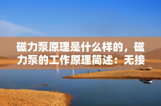 磁力泵原理是什么样的，磁力泵的工作原理简述：无接触动力传输与高效液体输送