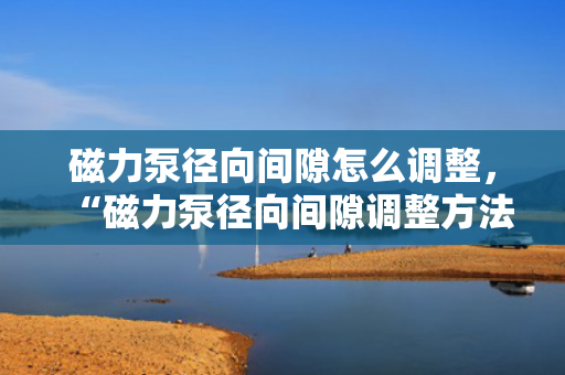 磁力泵径向间隙怎么调整，“磁力泵径向间隙调整方法”
