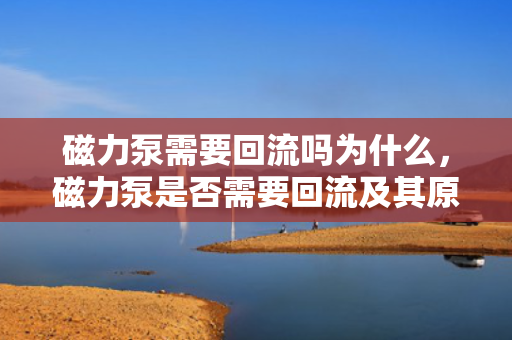 磁力泵需要回流吗为什么，磁力泵是否需要回流及其原因解析
